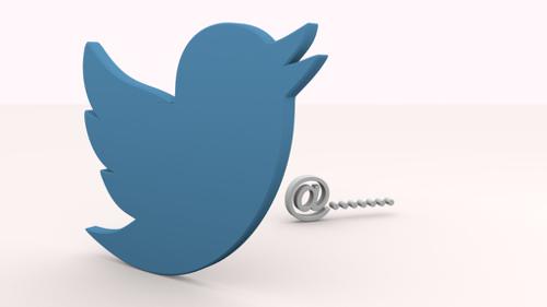 twitter logo preview image